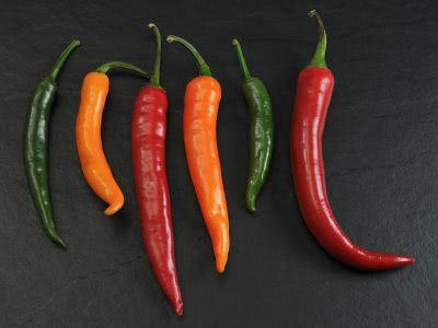 Bild Chili Vielfalt
